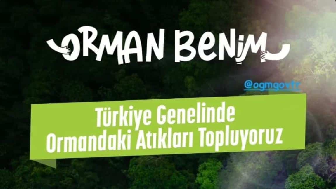 ORMAN BENİM